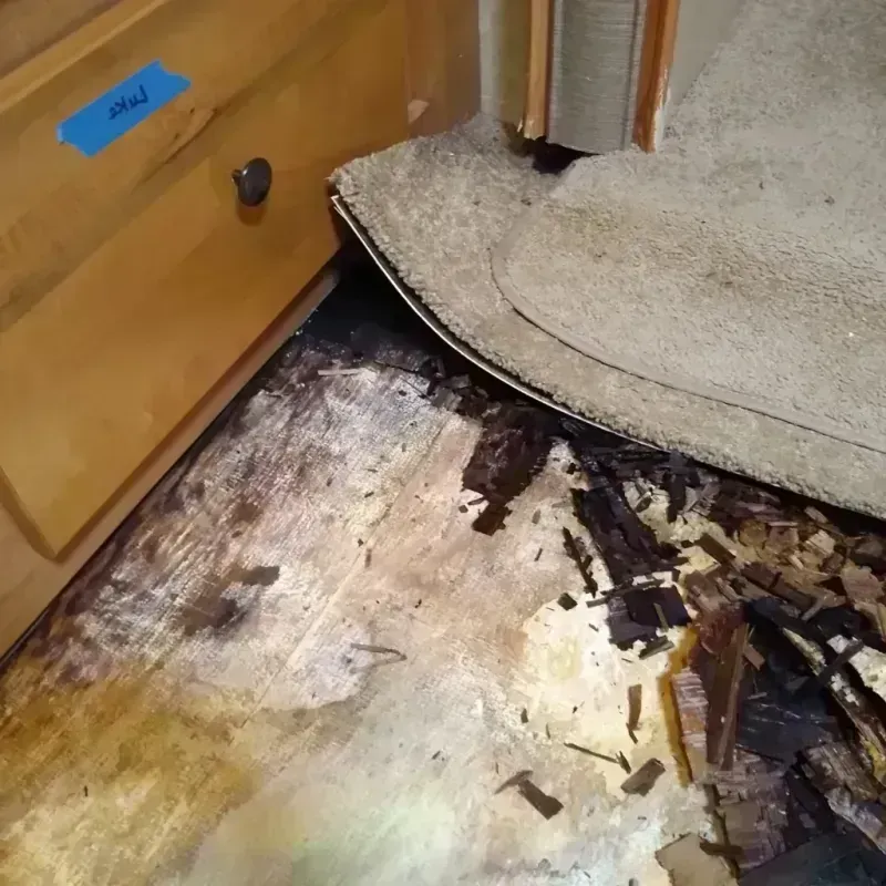 Wood Floor Water Damage in Elgin, OK